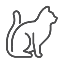 კატა