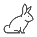 მღრღნელები