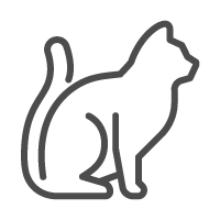 კატა